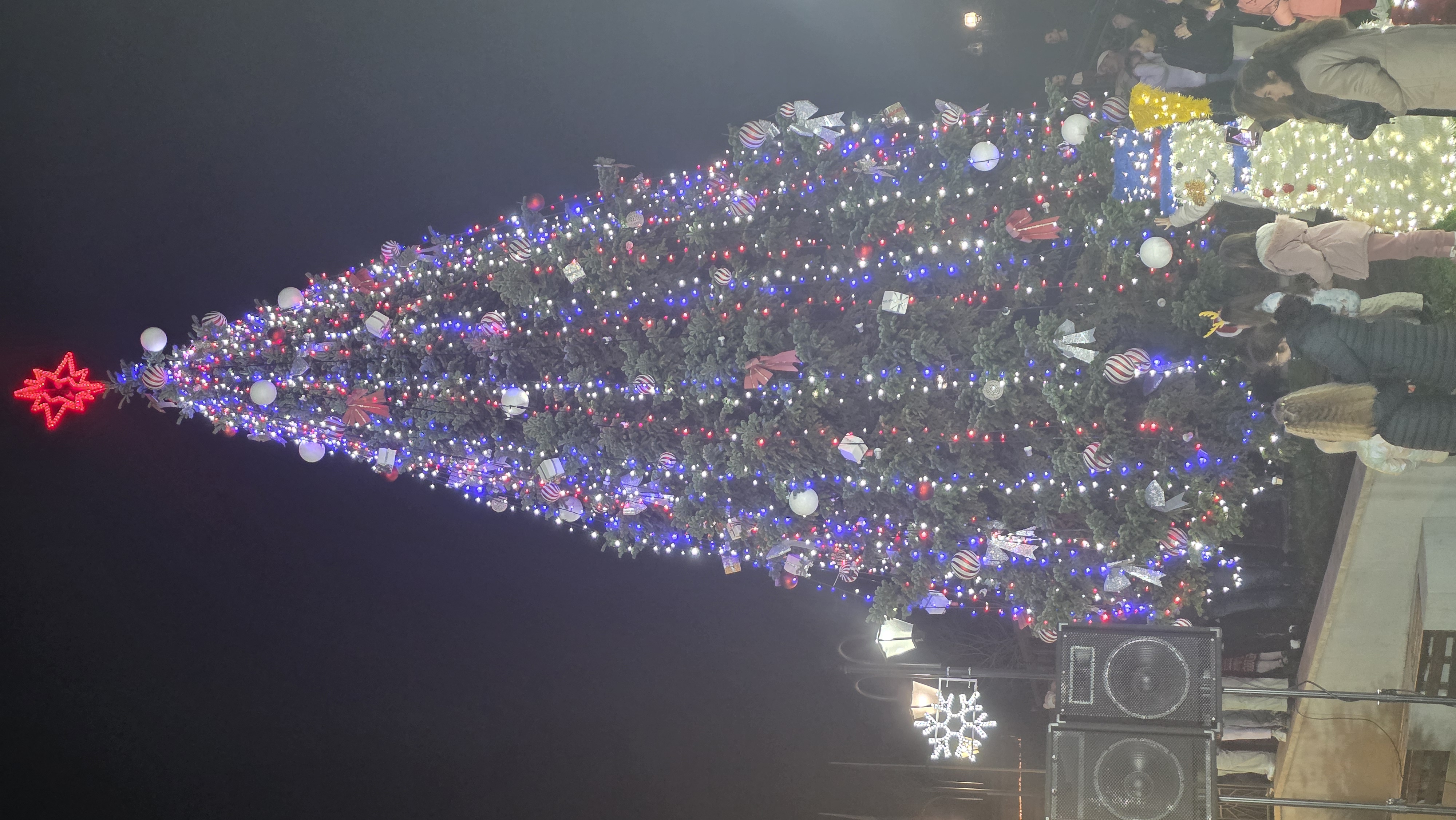 1 Светлини елха.jpg