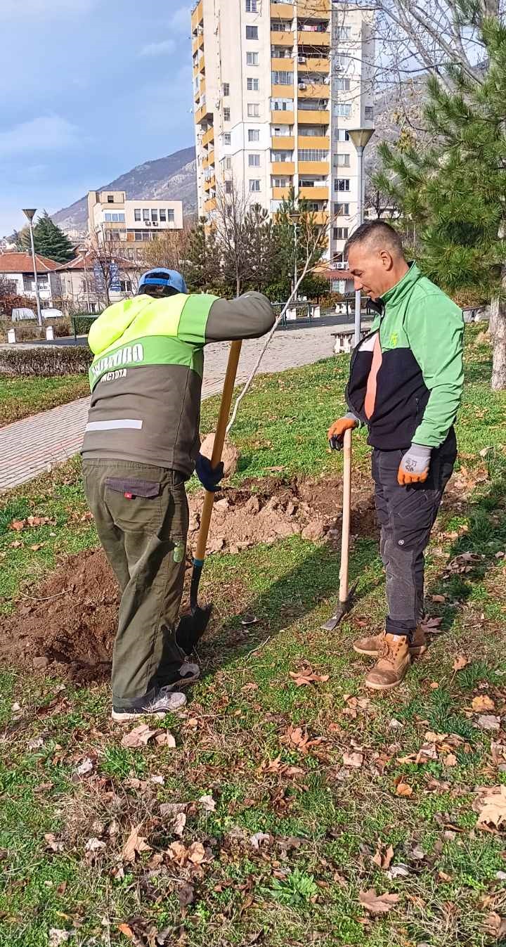 Зацветяване 3.jpg