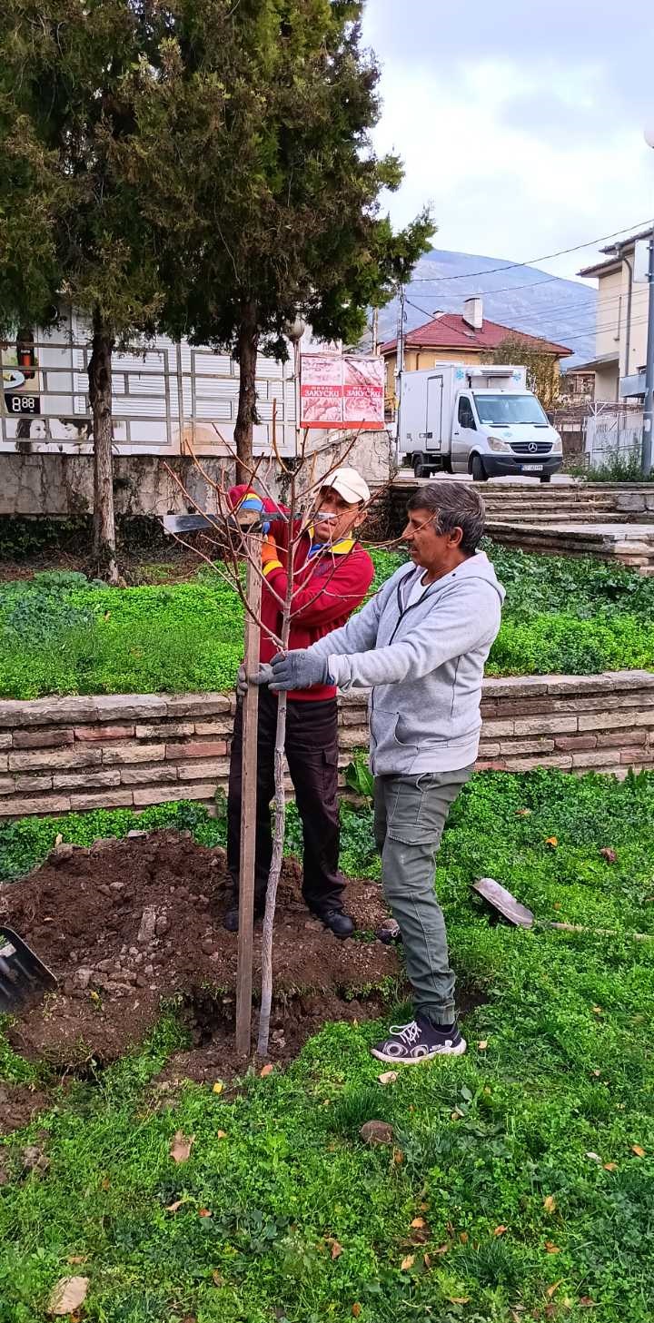 Зацветяване 2.jpg